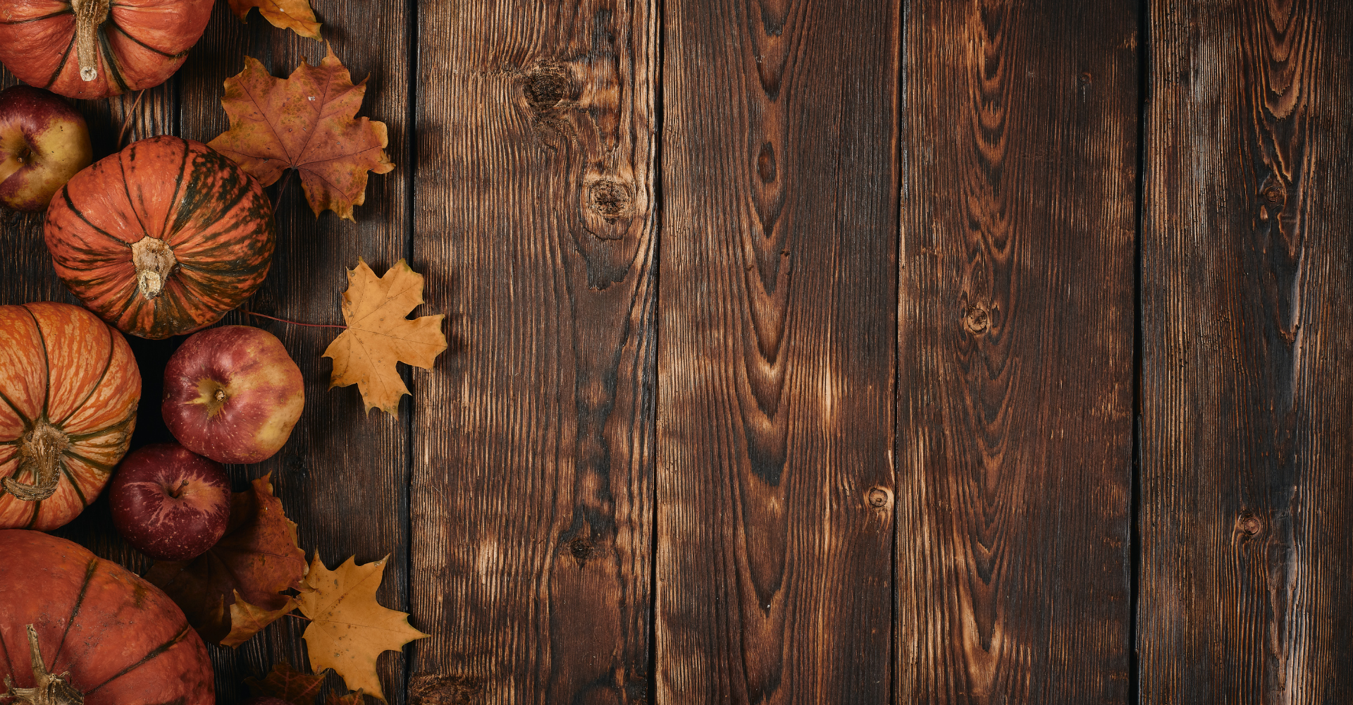Dad pushing Daughter in Cardboard Box on Hardwood Floors